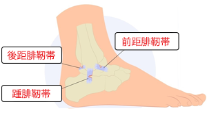 関節鏡手術が適応可能です